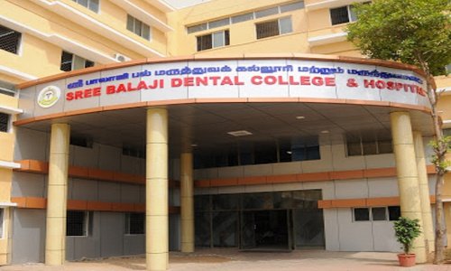 sree balaji college and hospitals